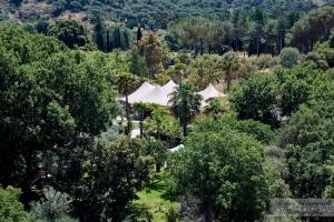 Lieu de réception exotique Tropicana-Events-roquebrune