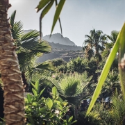 Mariage Var Tropicana Events Cannes Saint-Tropez