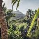 Mariage Var Tropicana Events Cannes Saint-Tropez